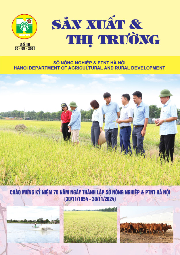 Bản tin Sản xuất & Thị trường số 15 năm 2024
