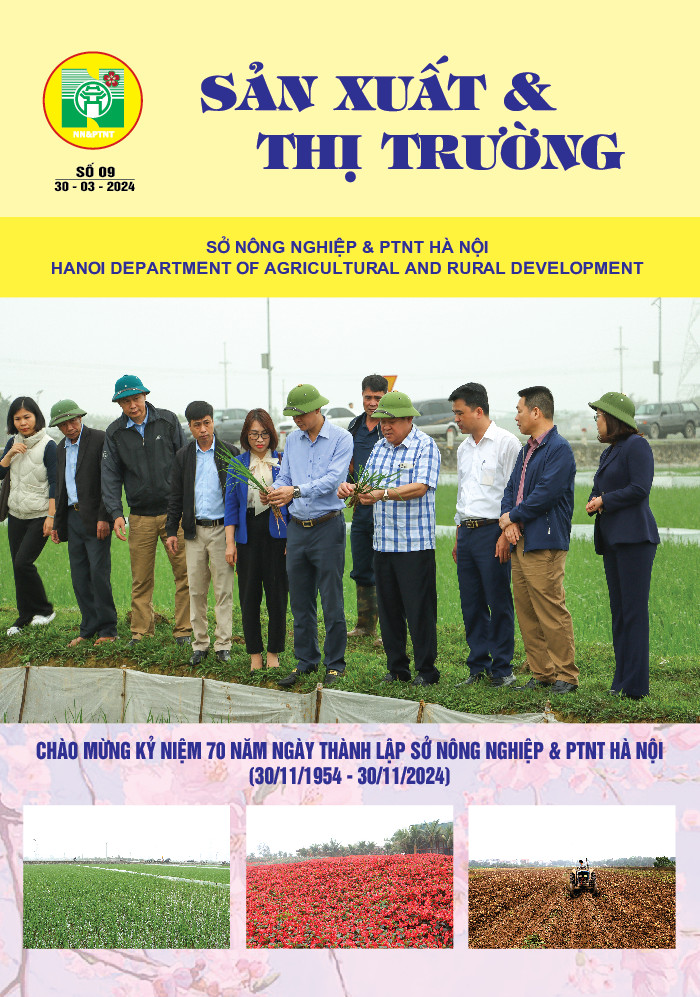 Bản tin Sản xuất & Thị trường số 9 năm 2024
