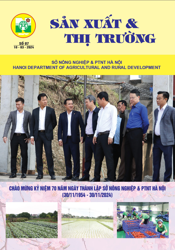 Bản tin Sản xuất & Thị trường số 7 năm 2024