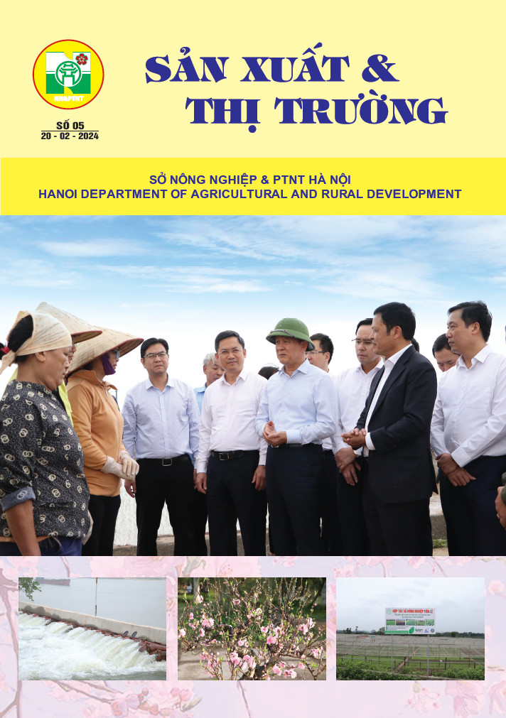 Bản tin Sản xuất & Thị trường số 5 năm 2024