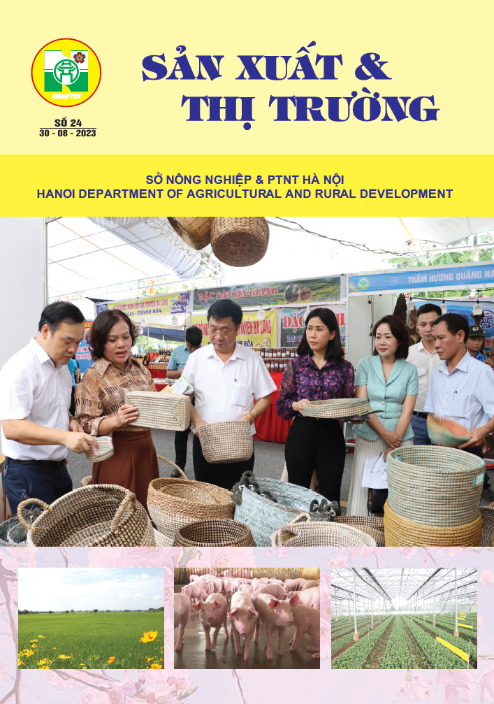 Bản tin Sản xuất & Thị trường số 24 năm 2023