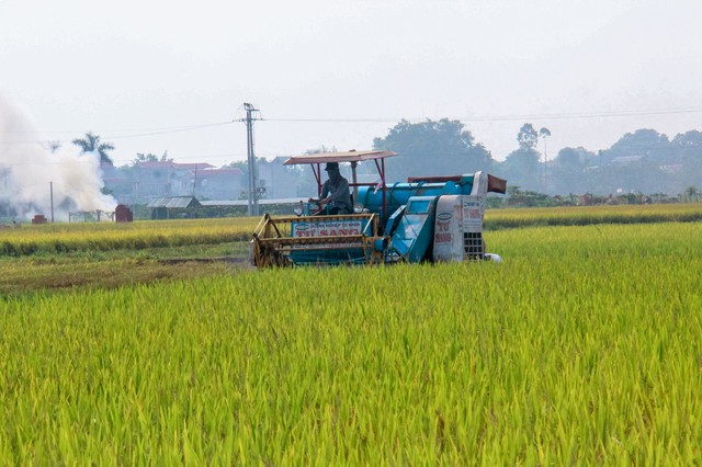 Chung tay xử lý rác thải, phát triển nông dân số - nông nghiệp sạch
