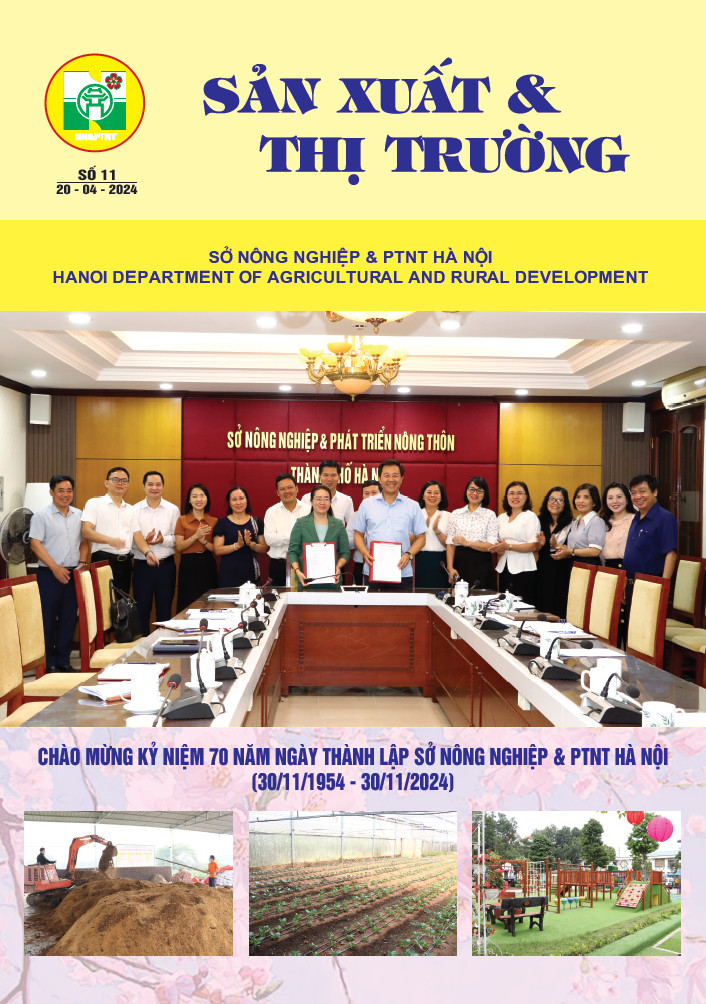 Bản tin Sản xuất & Thị trường số 11 năm 2024
