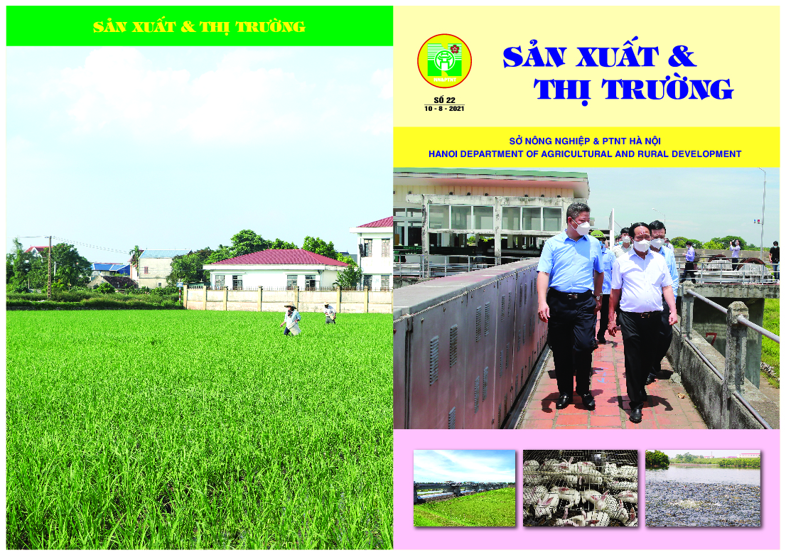 Bản tin Sản xuất & thị trường số 22 năm 2021