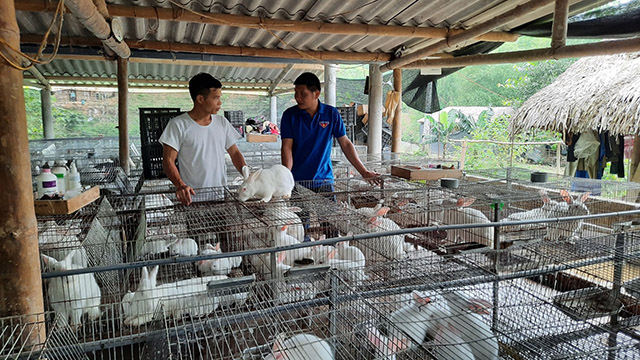 Yên Bái: Giám đốc HTX trẻ năng động
