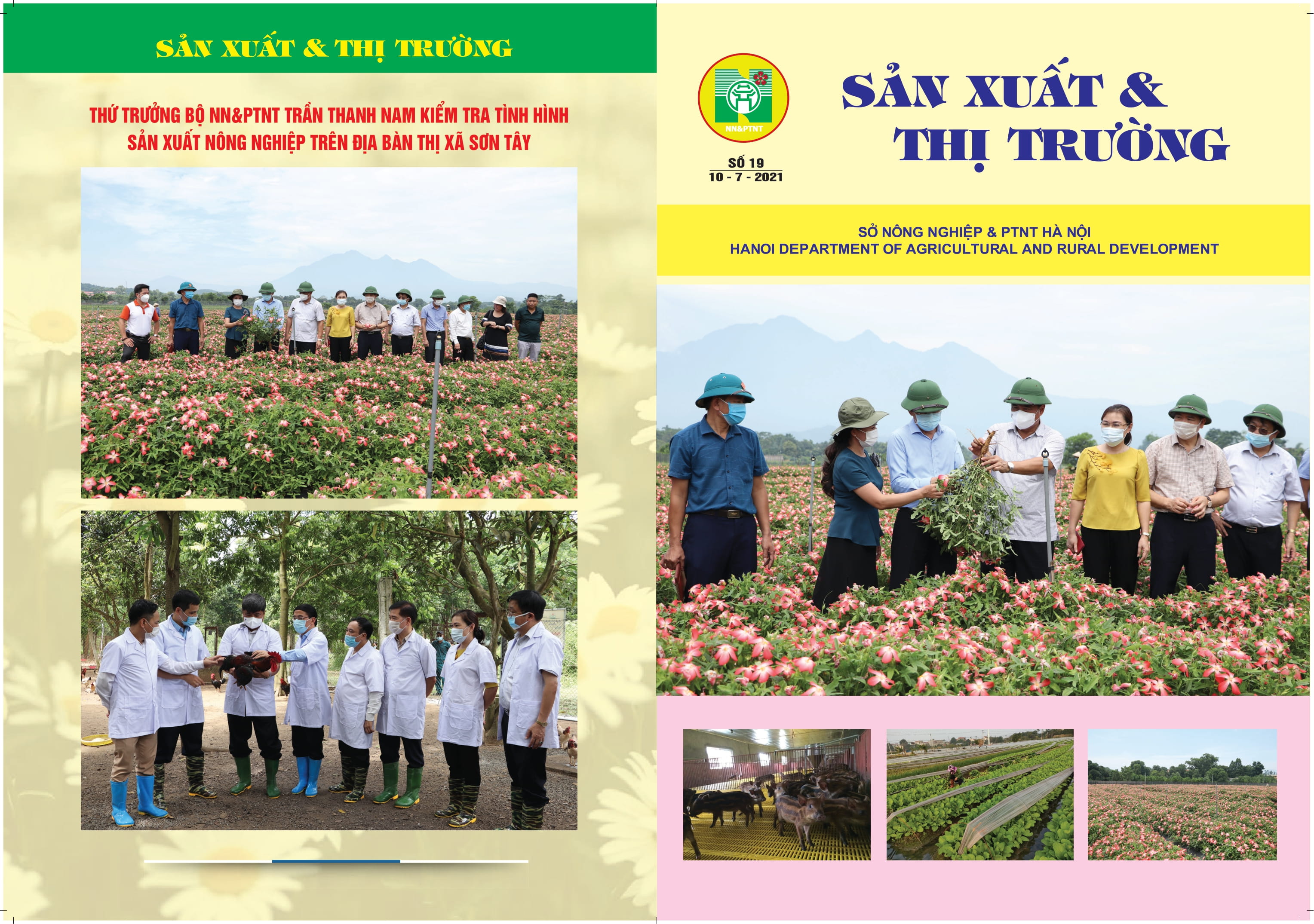 Bản tin Sản xuất & thị trường số 19 năm 2021