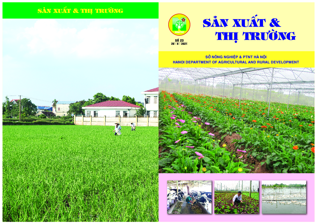 Bản tin Sản xuất & thị trường số 23 năm 2021