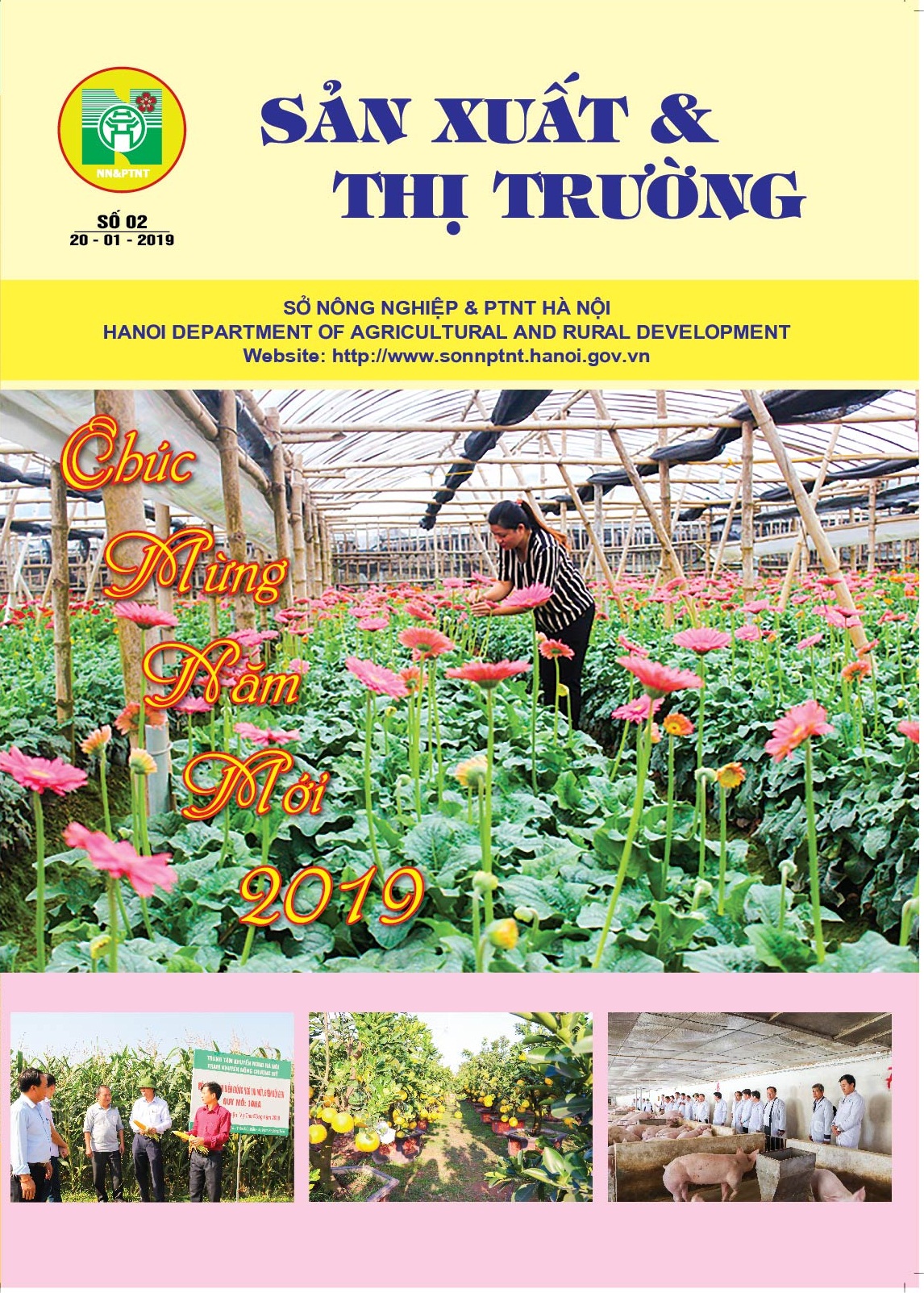 Bản tin sản xuất & thị trường số 02.2019