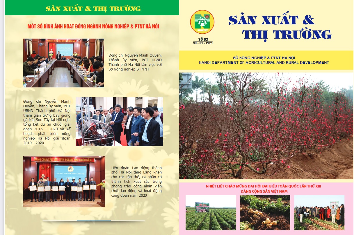 Bản tin Sản xuất và thị trường số 3 ngày 30.01.2021