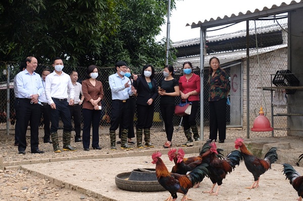 Huyện Phúc Thọ: Tập trung tạo đột phá phát triển nông nghiệp