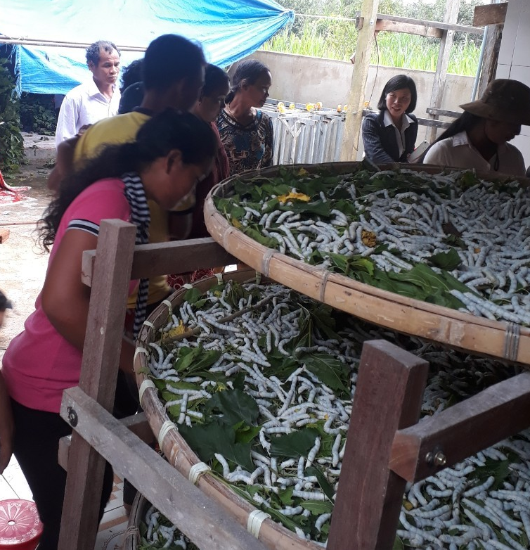 Đào tạo nghề nông nghiệp cho lao động nông thôn giai đoạn 2010 - 2018 và giải pháp giai...