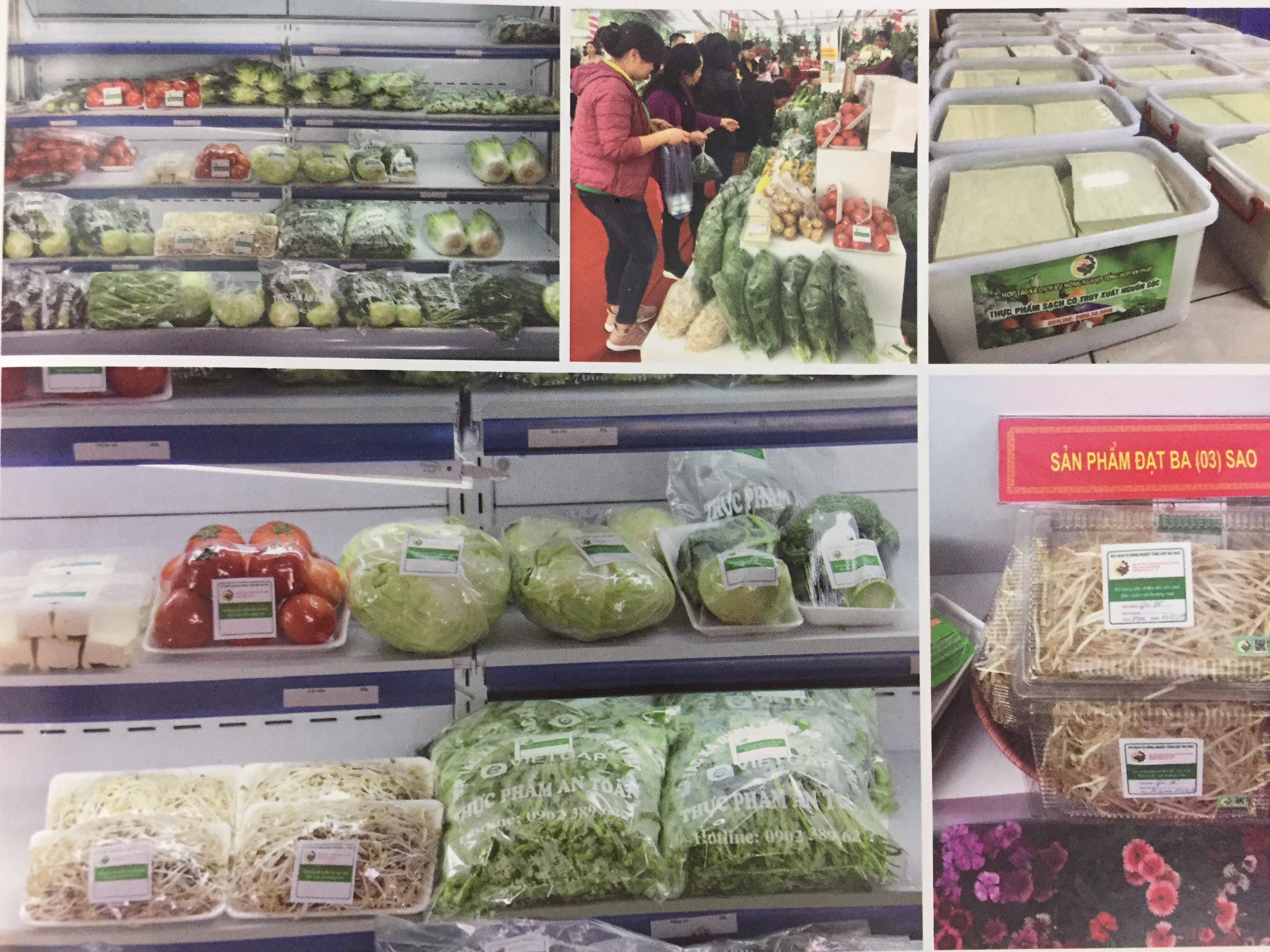 HTX Dịch vụ Nông nghiệp tổng hợp An Phát có 7 sản phẩm OCOP 3 sao