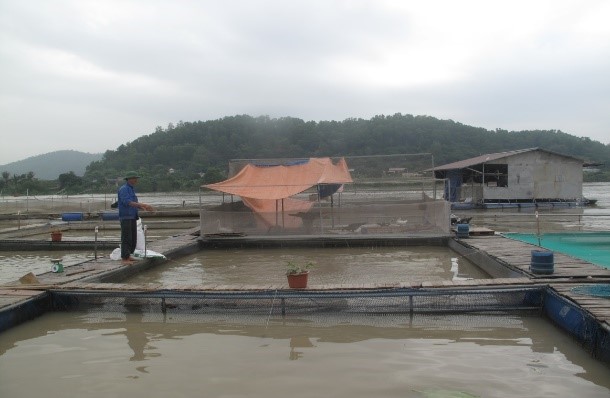 Một số biện pháp tránh rét cho thủy sản