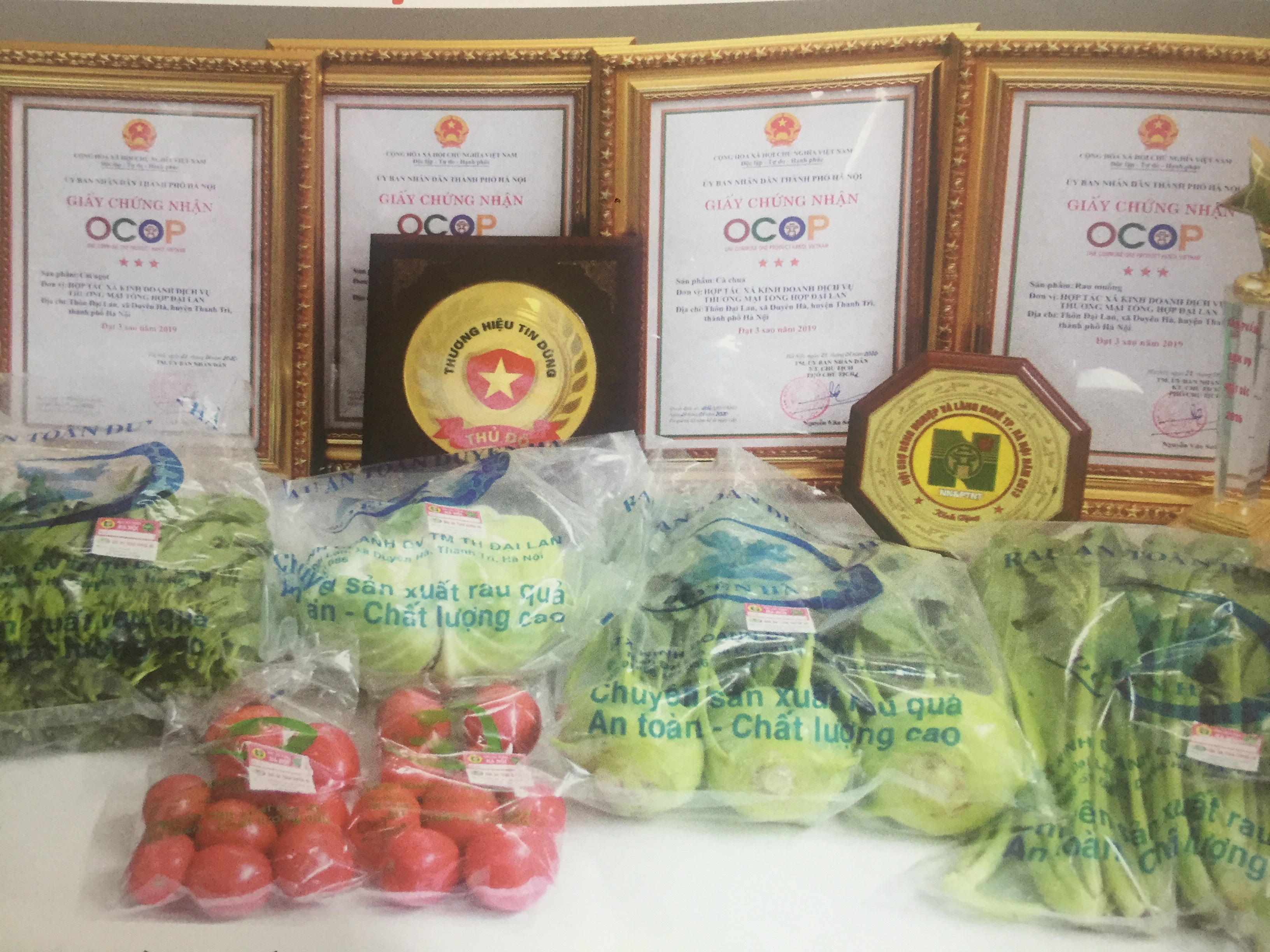 HTX Kinh doanh Dịch vụ Thương mại tổng hợp Đại Lan có 5 sản phẩm OCOP 3 sao