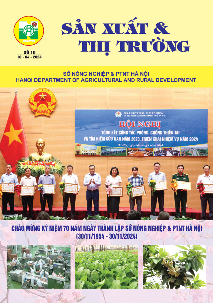 Bản tin Sản xuất & Thị trường số 10 năm 2024