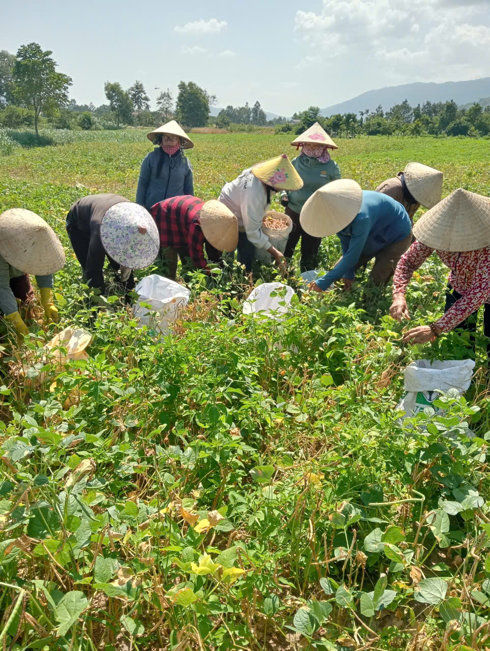 Chung tay hỗ trợ gia đình có con đi lạc, lan tỏa nghĩa tình cộng đồng