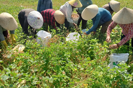 Chung tay hỗ trợ gia đình có con đi lạc, lan tỏa nghĩa tình cộng đồng