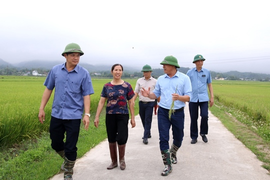 VPUB – Phó Chủ tịch UBND tỉnh Lò Văn Cường kiểm tra mô hình canh tác lúa thông minh giảm khí thải nhà kính tại cánh đồng Mường Thanh