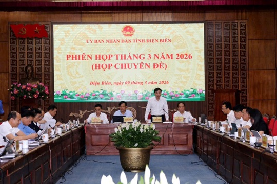 VPUB – Điện Biên triển khai kế hoạch trồng mới cà phê, mắc ca và thí điểm mô hình kinh tế không gian tầm thấp năm 2026
