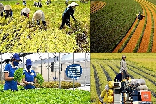 Chính sách mới có hiệu lực từ tháng 1/2026 