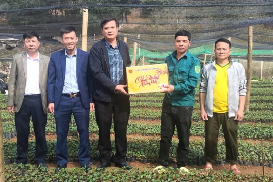 VPUB - Đồng chí Lò Văn Cường, Phó Chủ tịch Thường trực UBND tỉnh kiểm tra vườn ươm cà phê tại xã Mường Luân